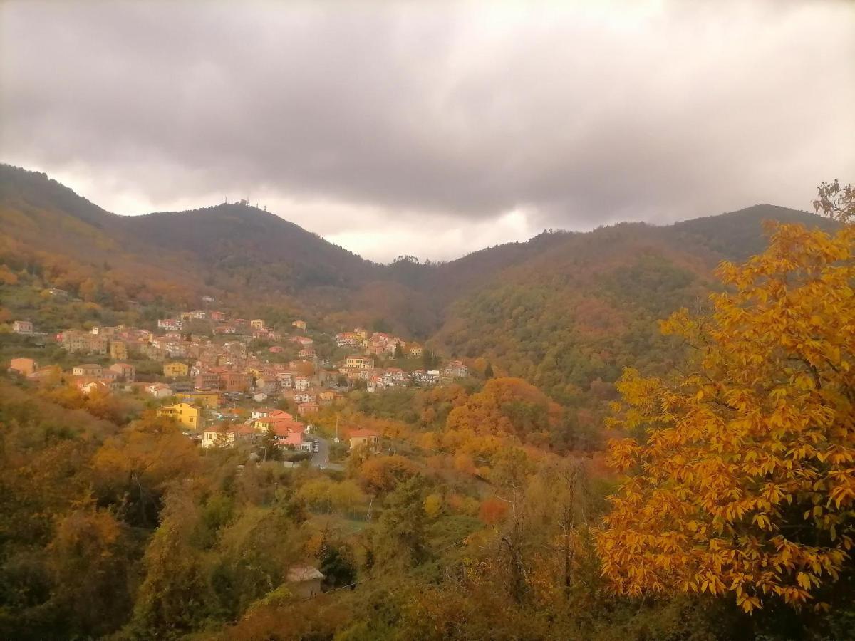Da Greta Villa La Spezia Eksteriør billede